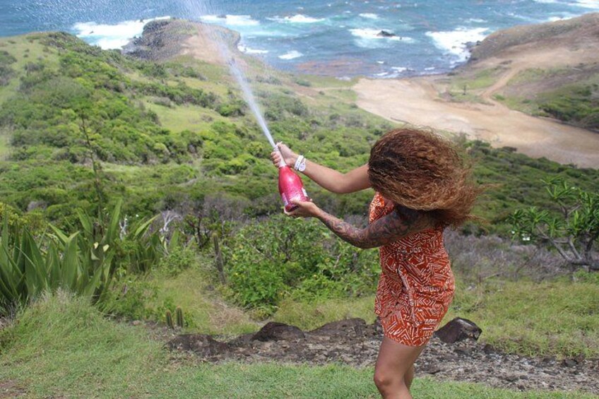 A person with a bottle spraying liquid, surrounded by a lush green landscape with a view of the ocean. 1