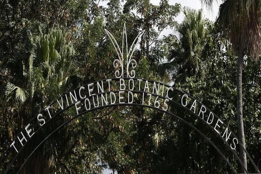 Take a tour of one of the oldest Botanical Gardens. 2