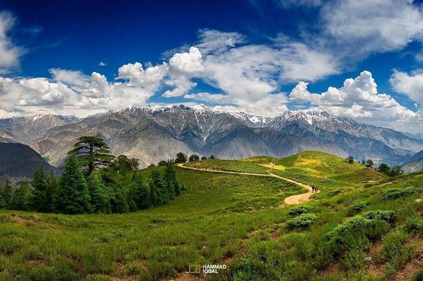 10 Days Chitral Kalash valley Takht-i-Bahi Taxila Peshawar 4