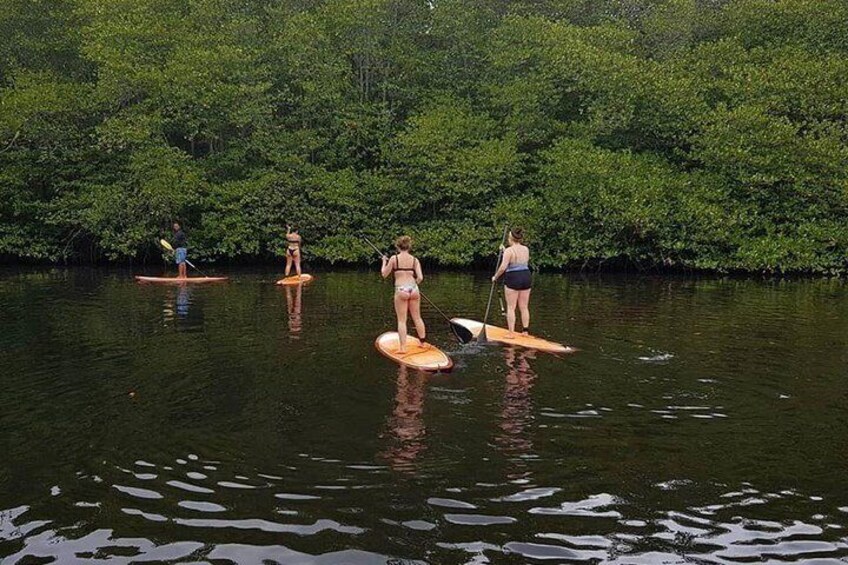 Three people paddleboarding on a calm river surrounded by dense greenery. 5