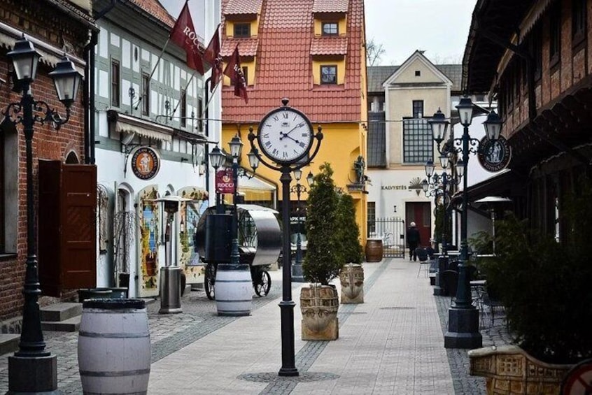 Private Shore Excursion: Walking Tour of Klaipeda + Amber Queen Museum