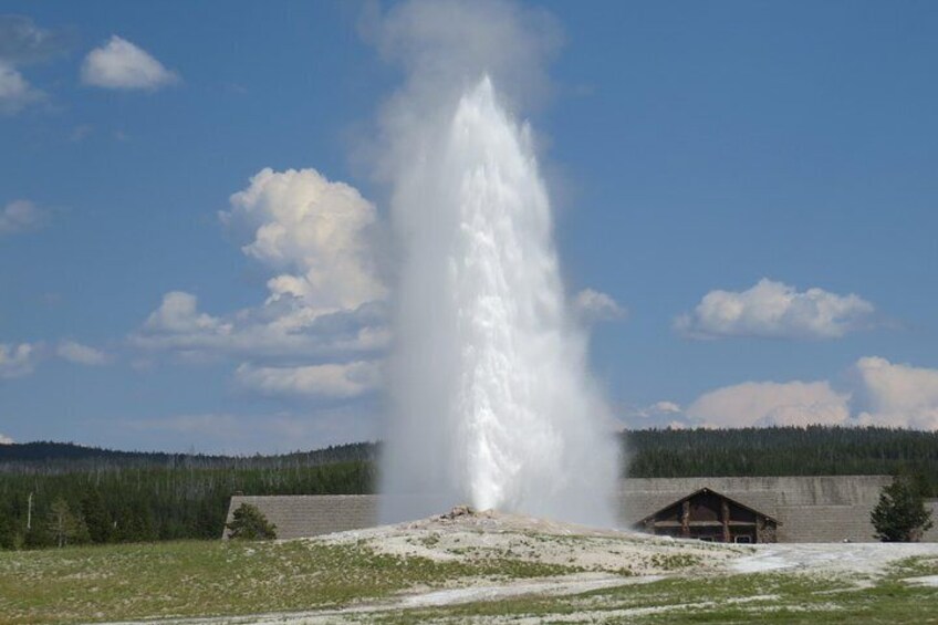 Un geyser en éruption dans un champ verdoyant, avec une cabane en bois en arrière-plan. 1