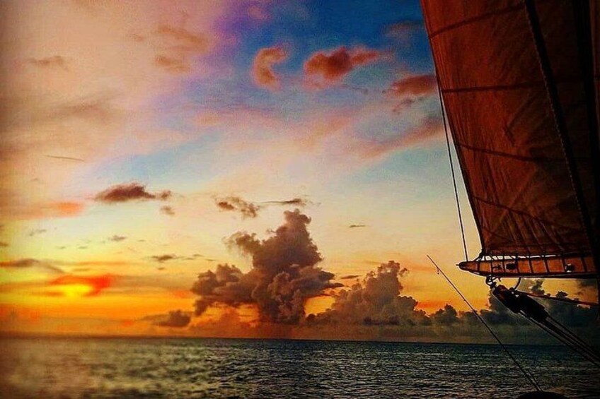 ALL INCLUSIVE Full Day snorkeling & sunset cruise with boat dogs 4