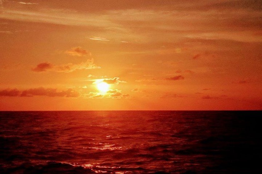 ALL INCLUSIVE Full Day snorkeling & sunset cruise with boat dogs 2