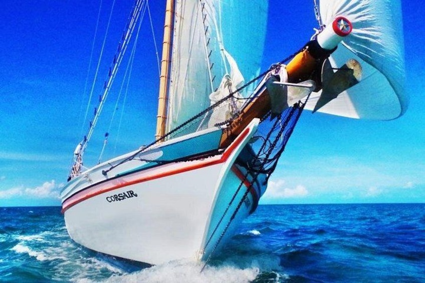 ALL INCLUSIVE Full Day snorkeling & sunset cruise with boat dogs 2