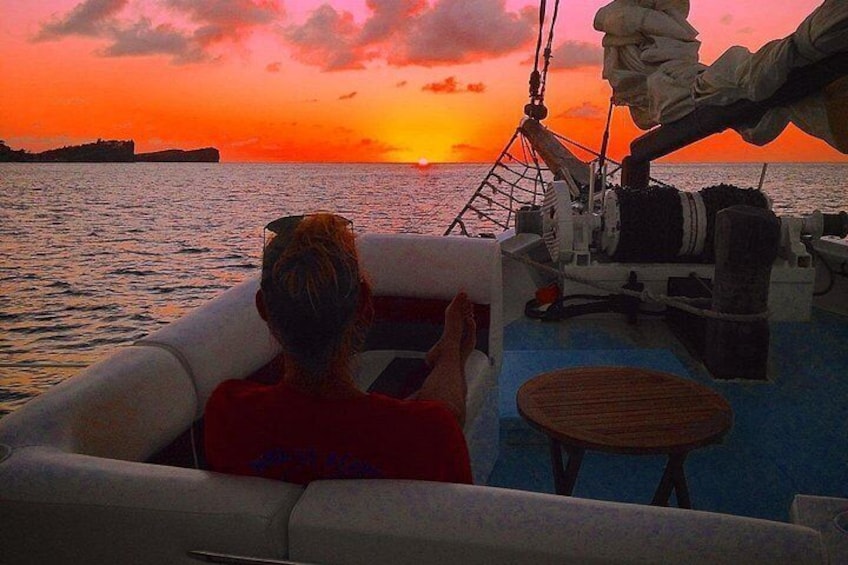 ALL INCLUSIVE Full Day snorkeling & sunset cruise with boat dogs 3
