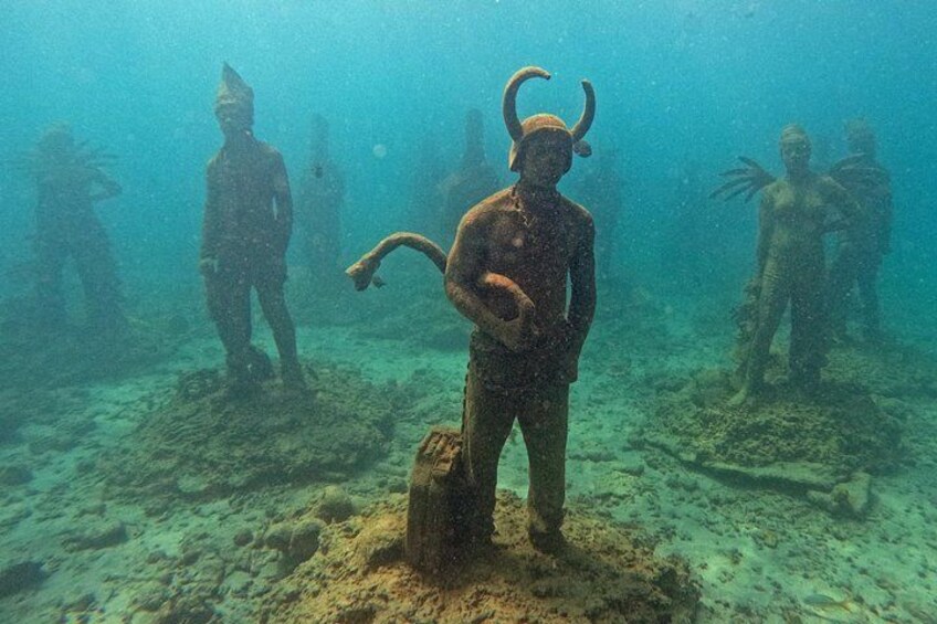 Coral carnival 2