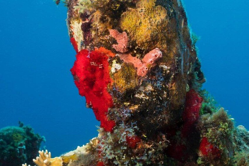 4-hour snorkel cruise to Underwater Sculptures with boat dogs 3