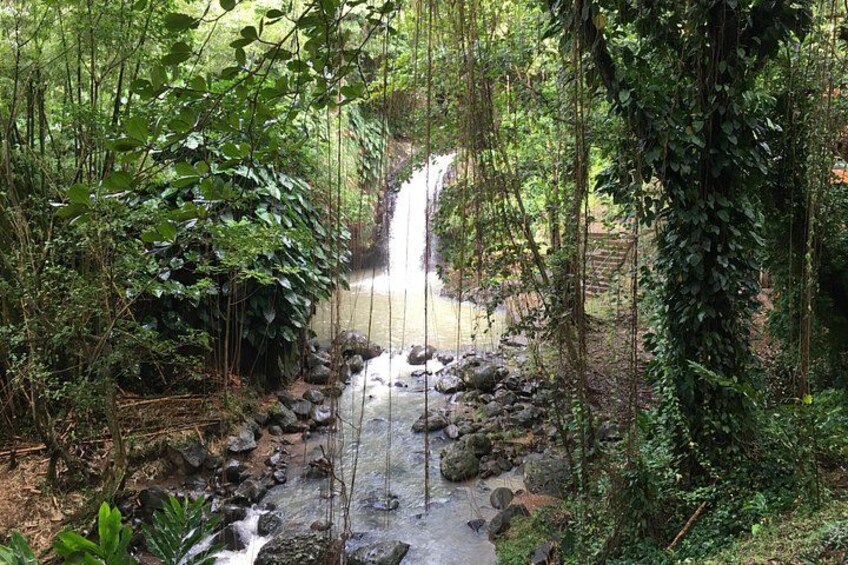 Annandale Waterfall 1