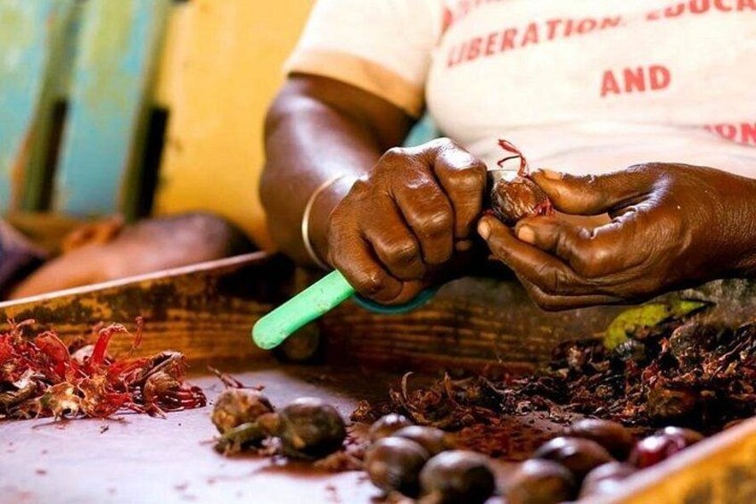 Removing mace from Nutmegs 2