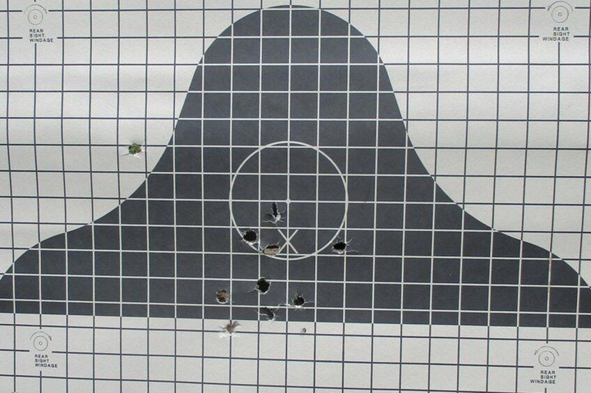 A grid with a large central circle and smaller shapes. 2