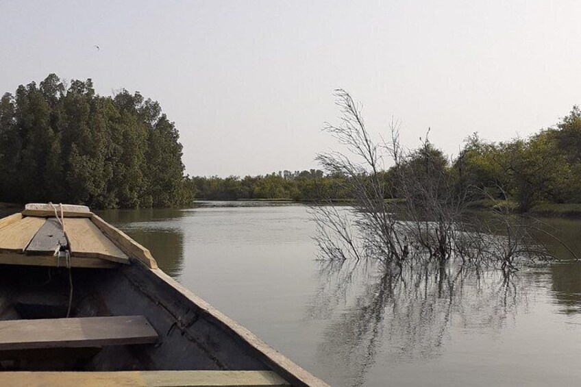 Un bote sobre aguas tranquilas con una isla boscosa al fondo. 4