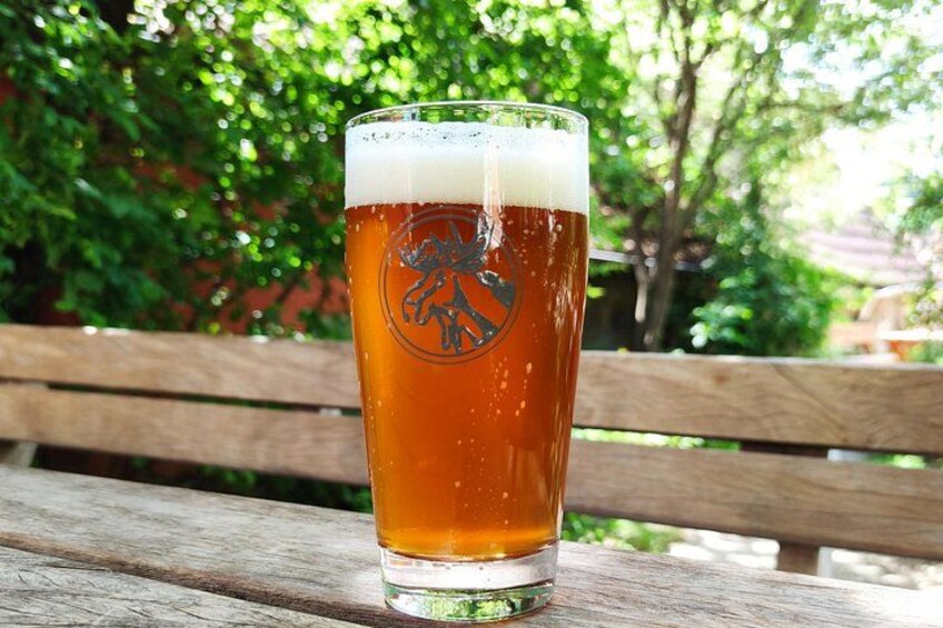 A glass of beer on a wooden bench with a logo, surrounded by greenery. 3