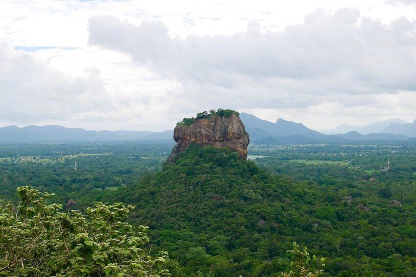 A prominent rock formation with a small tree on top, surrounded by dense green forest and distant mountains. 4