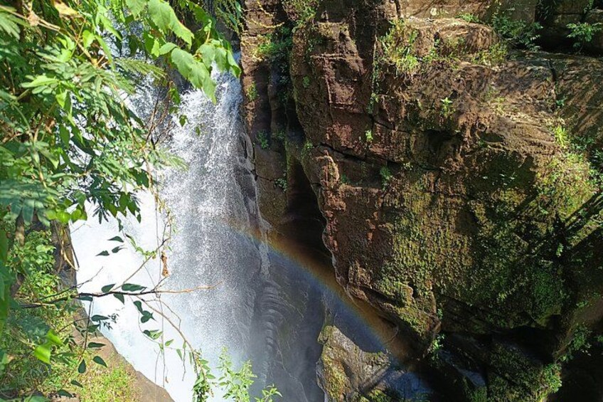 Una cascada se precipita sobre un risco rocoso, rodeada de exuberante vegetación. 3