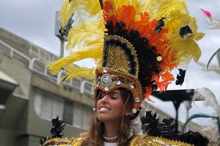 A person wearing a colorful feathered headdress. 4