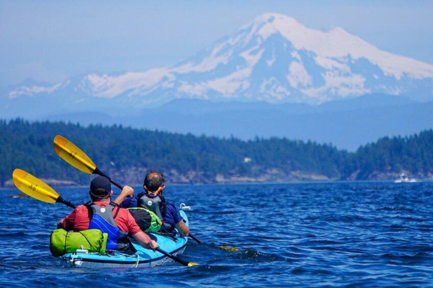Two people kayaking on a calm body of water with a mountain in the background. 5