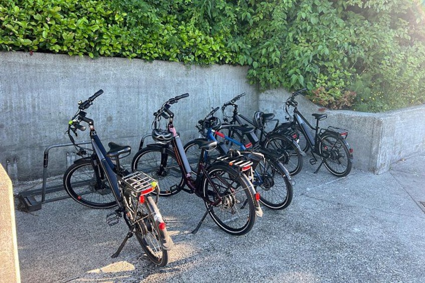 Seattle's Electric Bike Tour 4