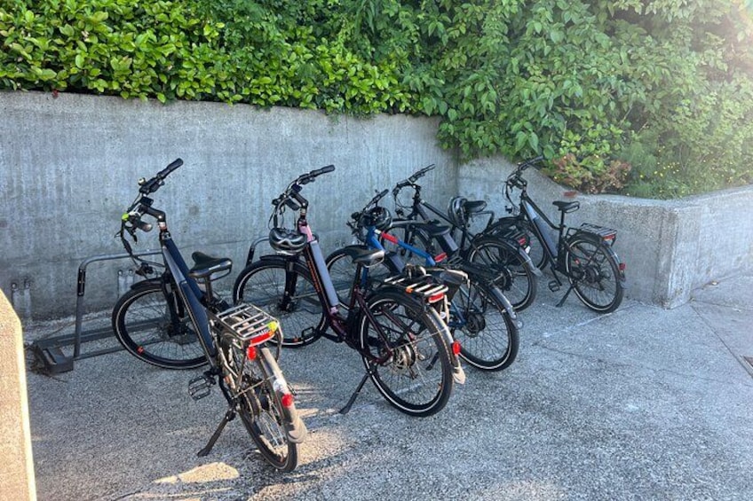 Seattle's Electric Bike Tour 3