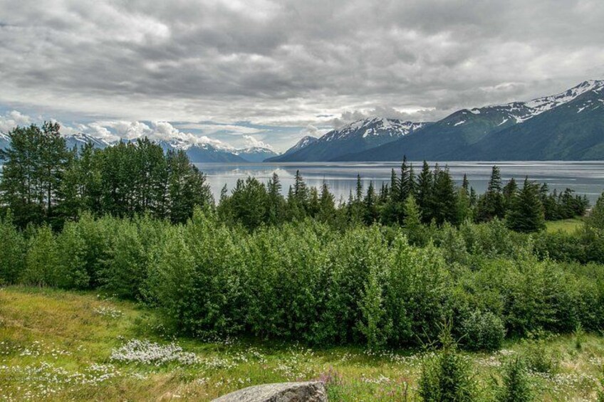 A mountainous landscape with a lake, dense forest, and snow-capped peaks. 2