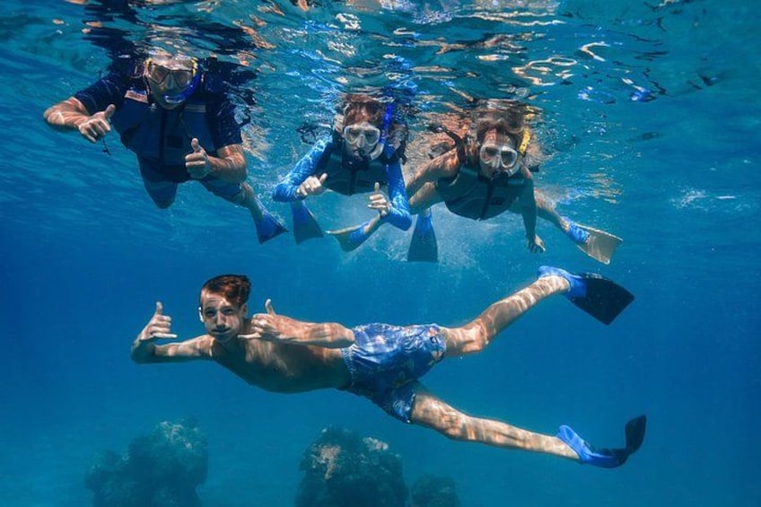 Turtle Town Snorkel With Photo and Video: Turtle Guarantee 3