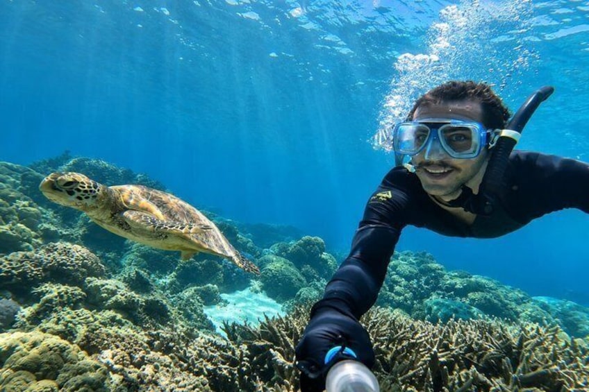 Turtle Town Snorkel With Photo and Video Turtle Guarantee 3