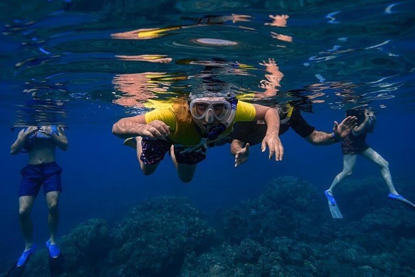 Turtle Town Snorkel With Photo and Video: Turtle Guarantee 2