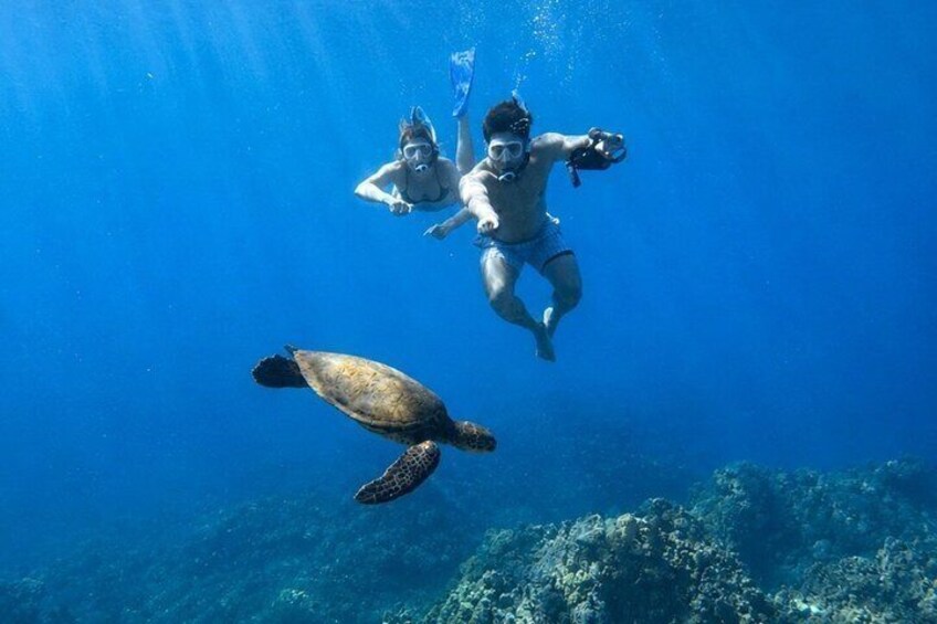 Turtle Town Snorkel With Photo and Video Turtle Guarantee 2