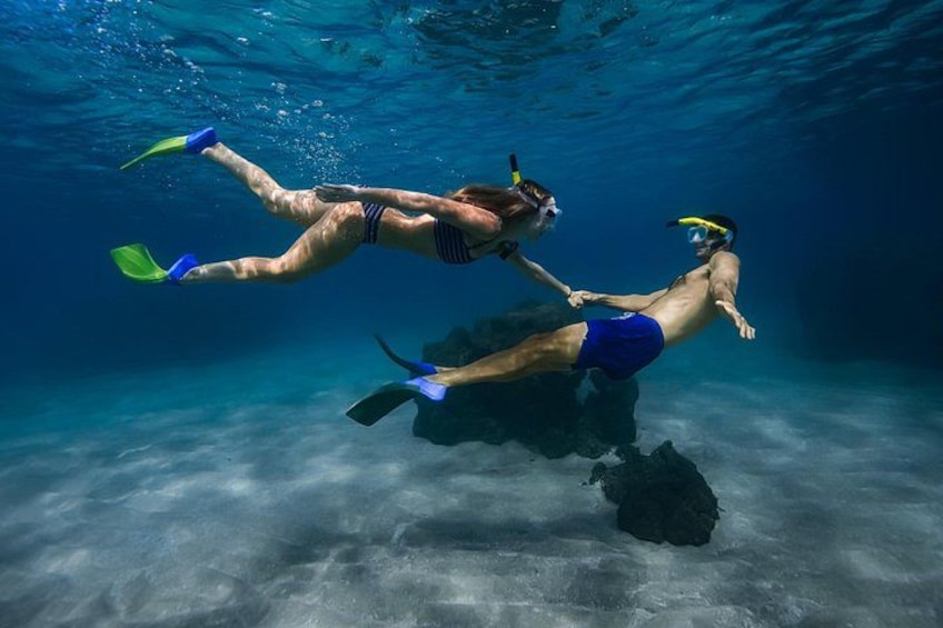 Turtle Town Snorkel With Photo and Video: Turtle Guarantee 1