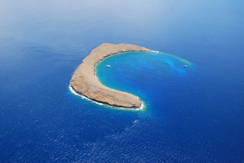 Snorkel at the Molokini Crater Marine Life Conservation Area (accessible only by boat) 1
