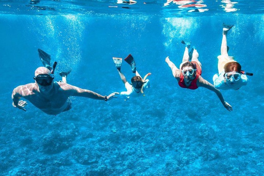 Capture the highlight of your Maui vacation with our profesional photographer. 2