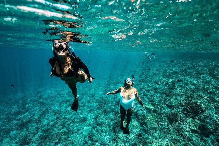 Capture the highlight of your Maui vacation with the help of our professional photographer 3