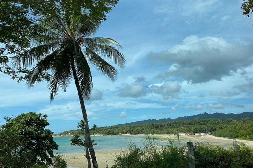 Ein Strand mit einer Palme, blauem Himmel und fernen Bergen. 3