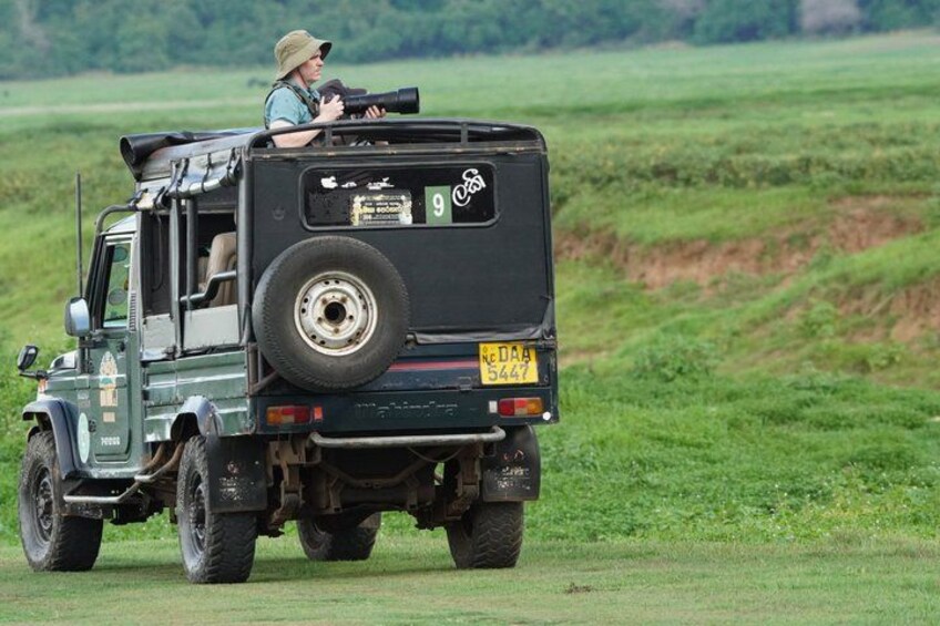 Private Jeep Safari at Minneriya National Park to Visit Elephants 2