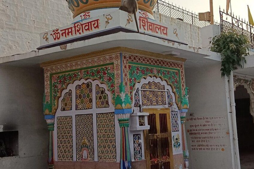 Jodhpur by Night : Street Food And Temple Walking Tour 3