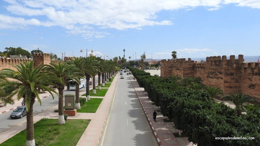 day trip to Taroudant and Tiout oasis with lunch