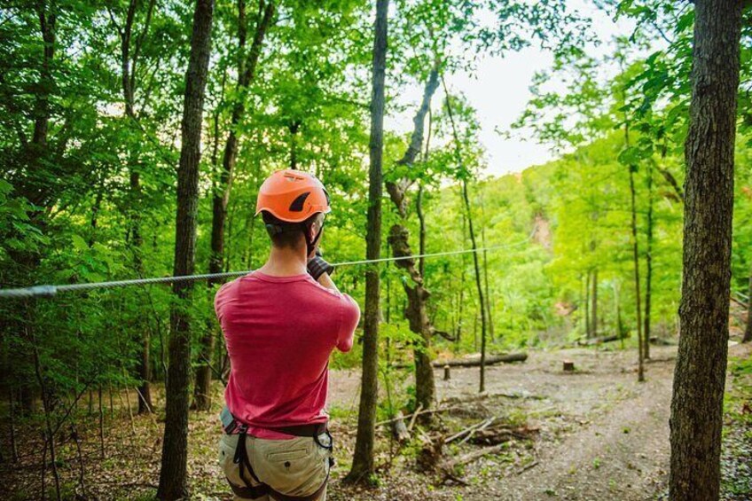 Bransons Best Zipline - Great Woodsman Canopy Tour 2