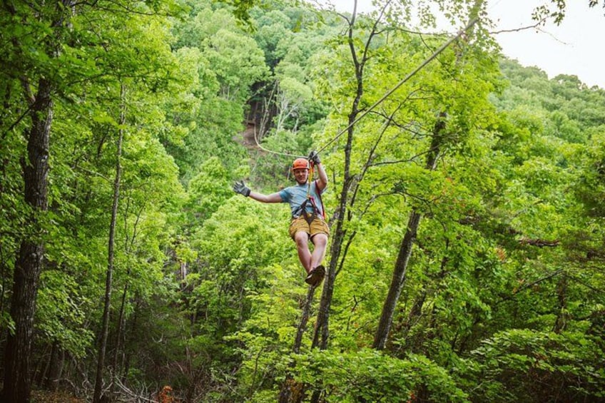 Une personne qui fait de la tyrolienne à travers une forêt dense. 2