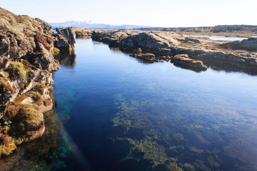 Silfra Wetsuit Snorkeling Tour with Underwater Photos - From Reykjavik 4