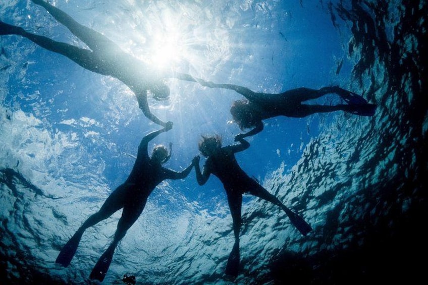 Three people swimming underwater with sunlight filtering through the water. 3