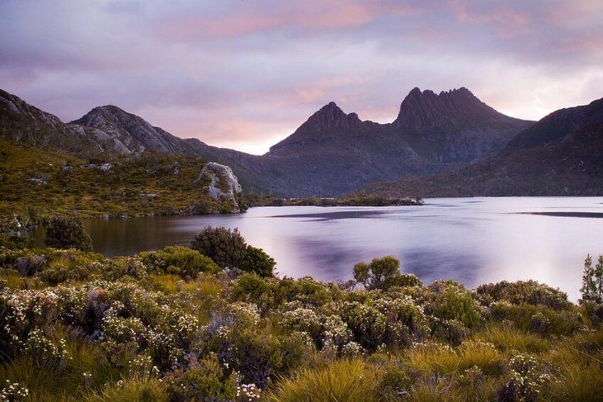 Cradle Mountain Day Tour Charter Service ( 3 days in advance) 5