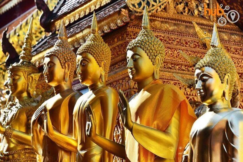Chiang Mai - Half day Doi Suthep and Mhong Village  1