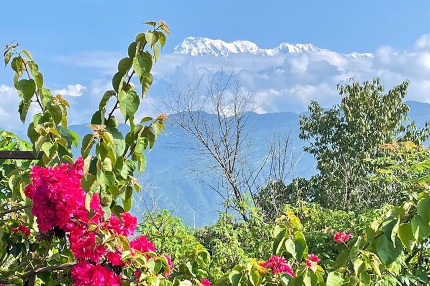 A mountainous landscape with snow-capped peaks, lush green foliage, and vibrant pink flowers. 5