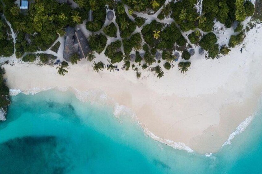 A beach with clear turquoise waters, white sand, and scattered palm trees. 4