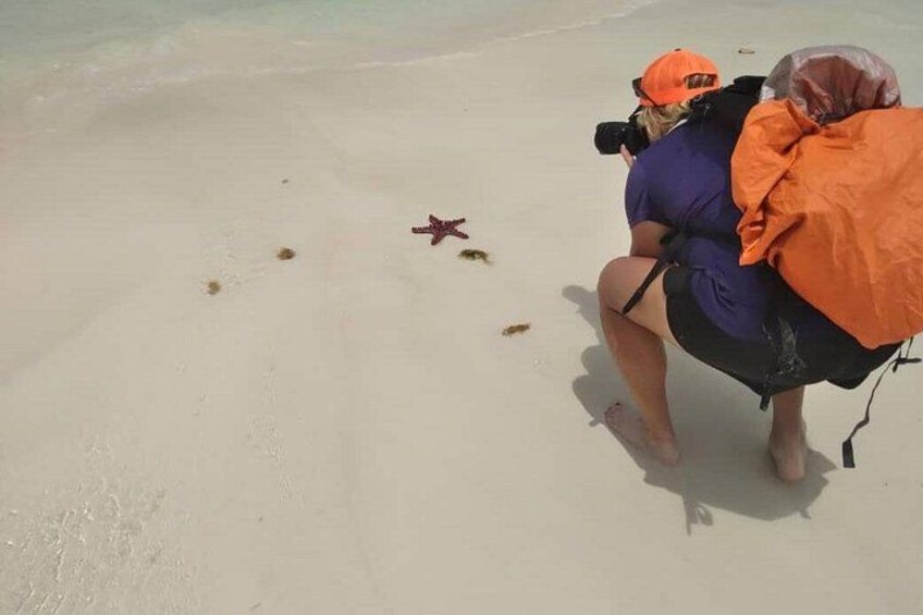 Private Dolphin Tour and Snorkeling at Mnemba Island reef 1