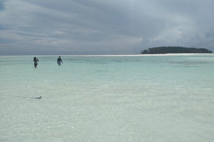 Private Dolphin Tour and Snorkeling at Mnemba Island reef 5