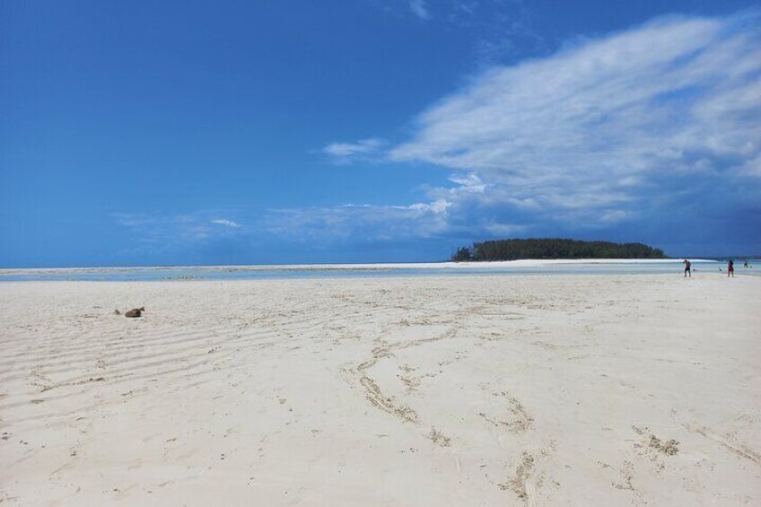 Private Dolphin Tour and Snorkeling at Mnemba Island reef