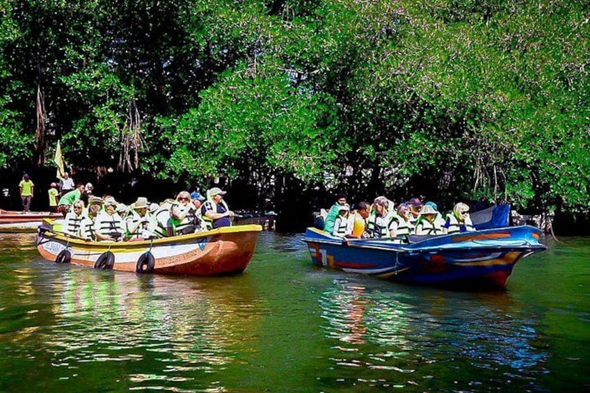 Two boats with passengers on a river surrounded by dense greenery. 1