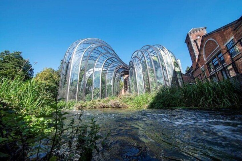 Our beautiful glasshouses