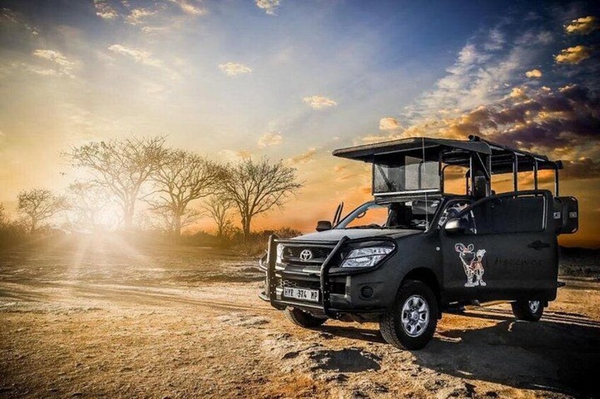 Kruger National Park Private Guided Morning Game Drive 2